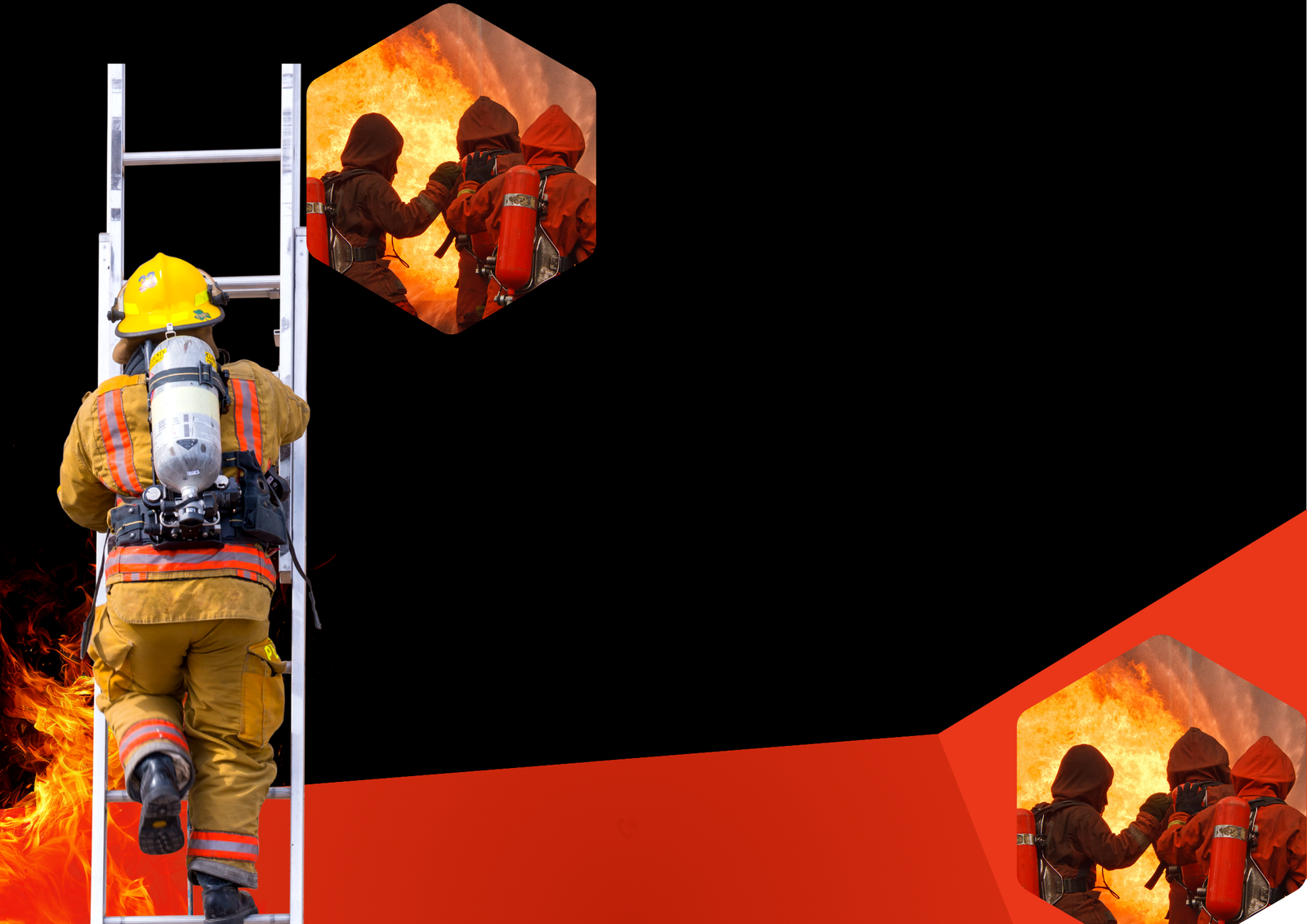 telbanylab.dshgroup.net