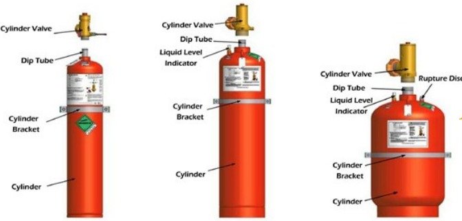 WhatsApp Image 2025-10-01 at 11.13.13 AM