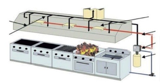 WhatsApp Image 2025-10-01 at 5.07.55 PM