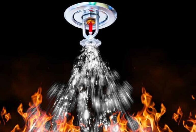 WhatsApp Image 2025-10-01 at 9.12.30 AM