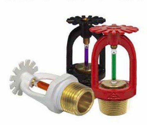 WhatsApp Image 2025-10-01 at 9.55.19 AM (1)